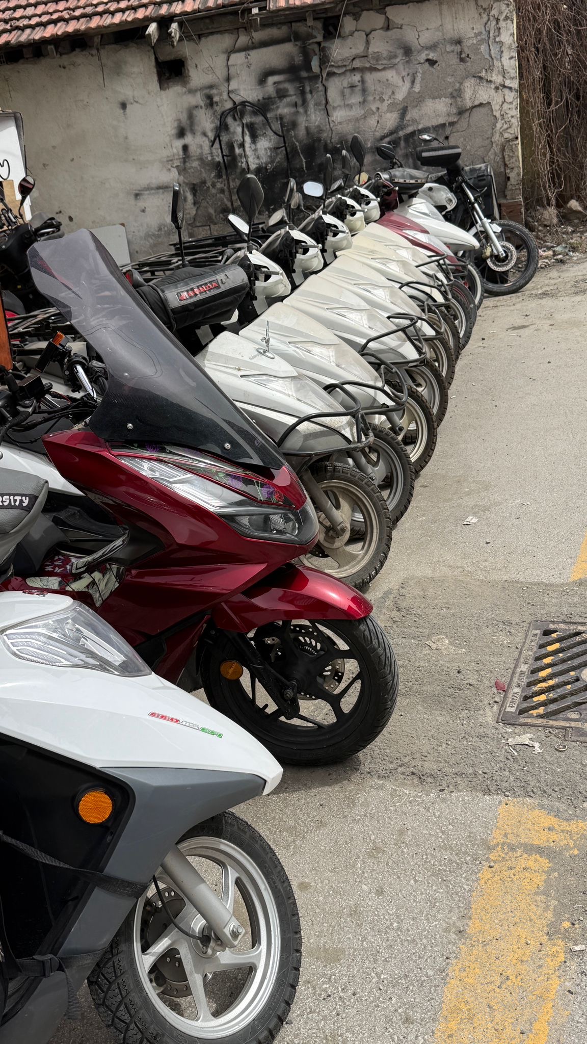 LUK Rental motosiklet filosu